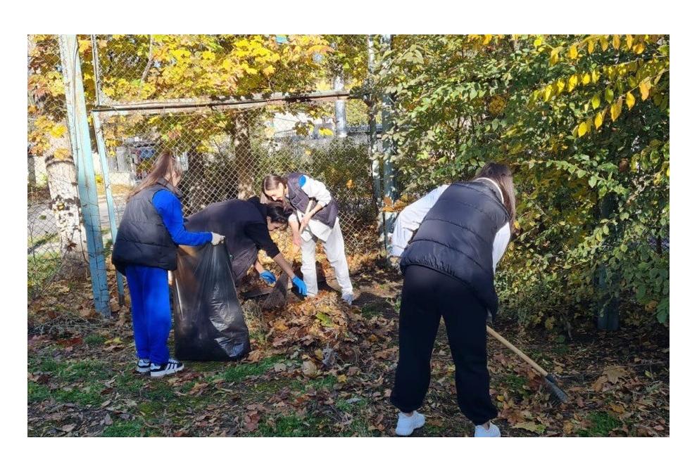 клик для увеличения