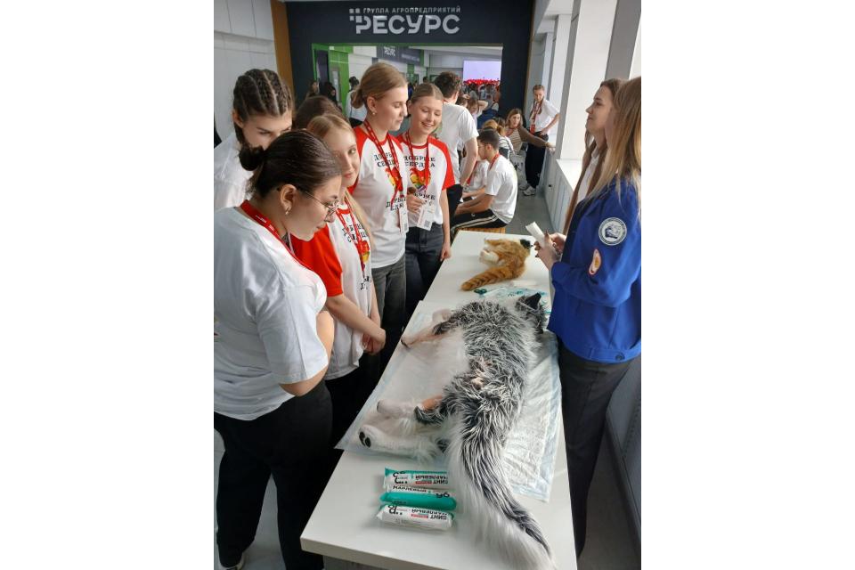 клик для увеличения